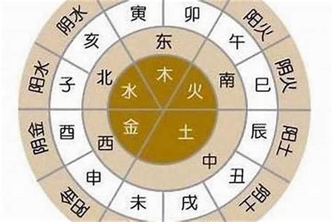 乙未五行|乙未年是什么意思 乙未年五行属什么